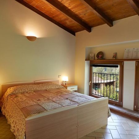 Agriturismo Ca' Del Ciuco Vezzano sul Crostolo Εξωτερικό φωτογραφία